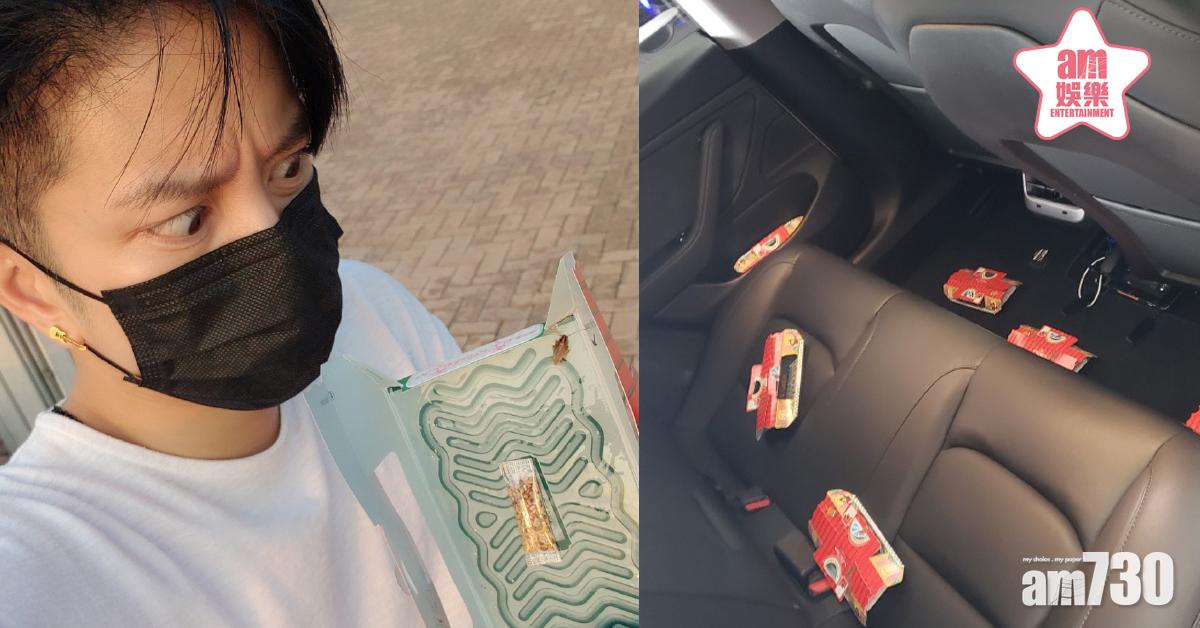 用廿間曱甴屋對付不速之客 張彥博︰今次你仲唔死！