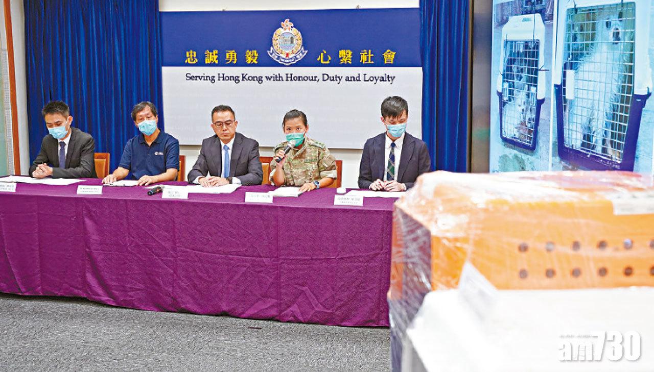 投奔怒海 主人花6萬擬與毛孩團聚 7人走私寵物被捕
