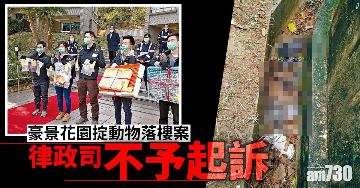 豪景花園掟動物落樓案  律政司不予起訴