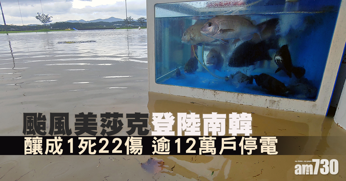 颱風美莎克凌晨登陸南韓1人死  逾400航班取消12萬戶停電