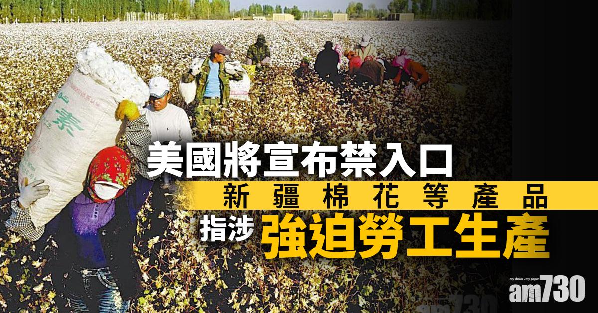 美國將宣布禁入口新疆棉花等產品 指涉強迫勞工生產