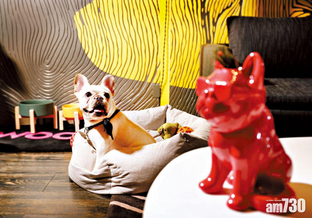 和狗狗一起Staycation