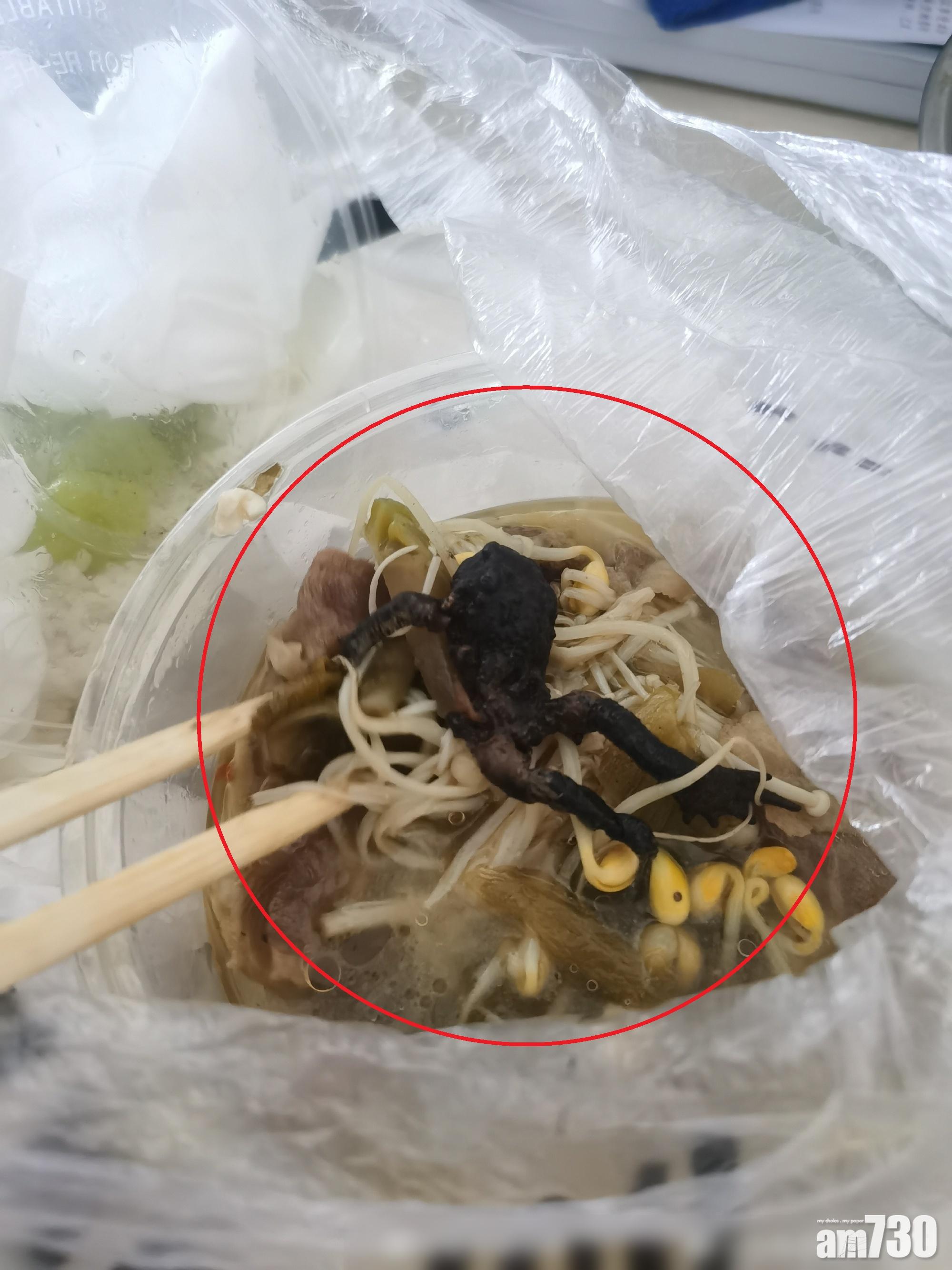 外賣驚現蟾蜍 浙食肆：速遞員「加料」