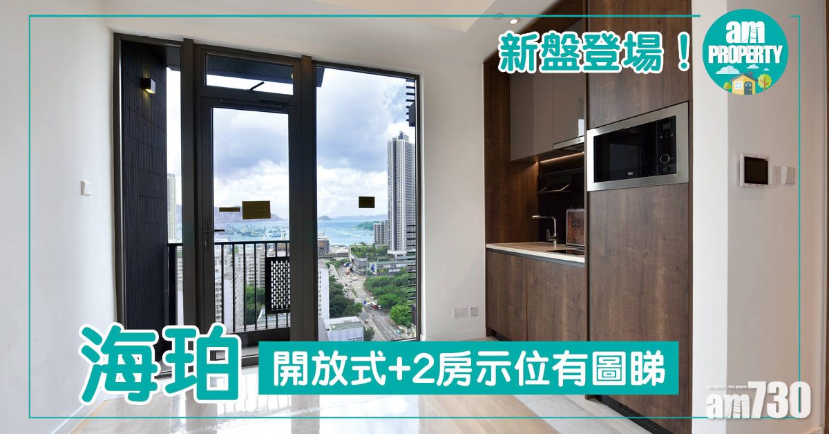 【新盤登場】海珀開放式+2房示位有圖睇！