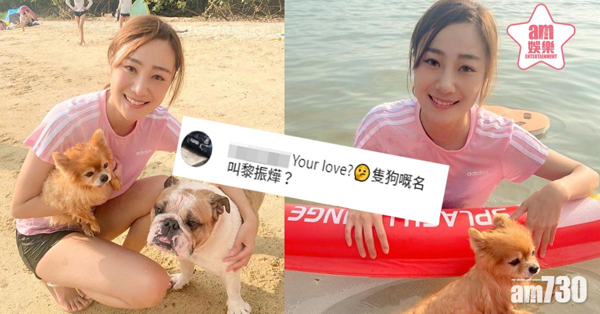 拖狗去沙灘遭網民嘲笑 朱智賢答案勁高EQ