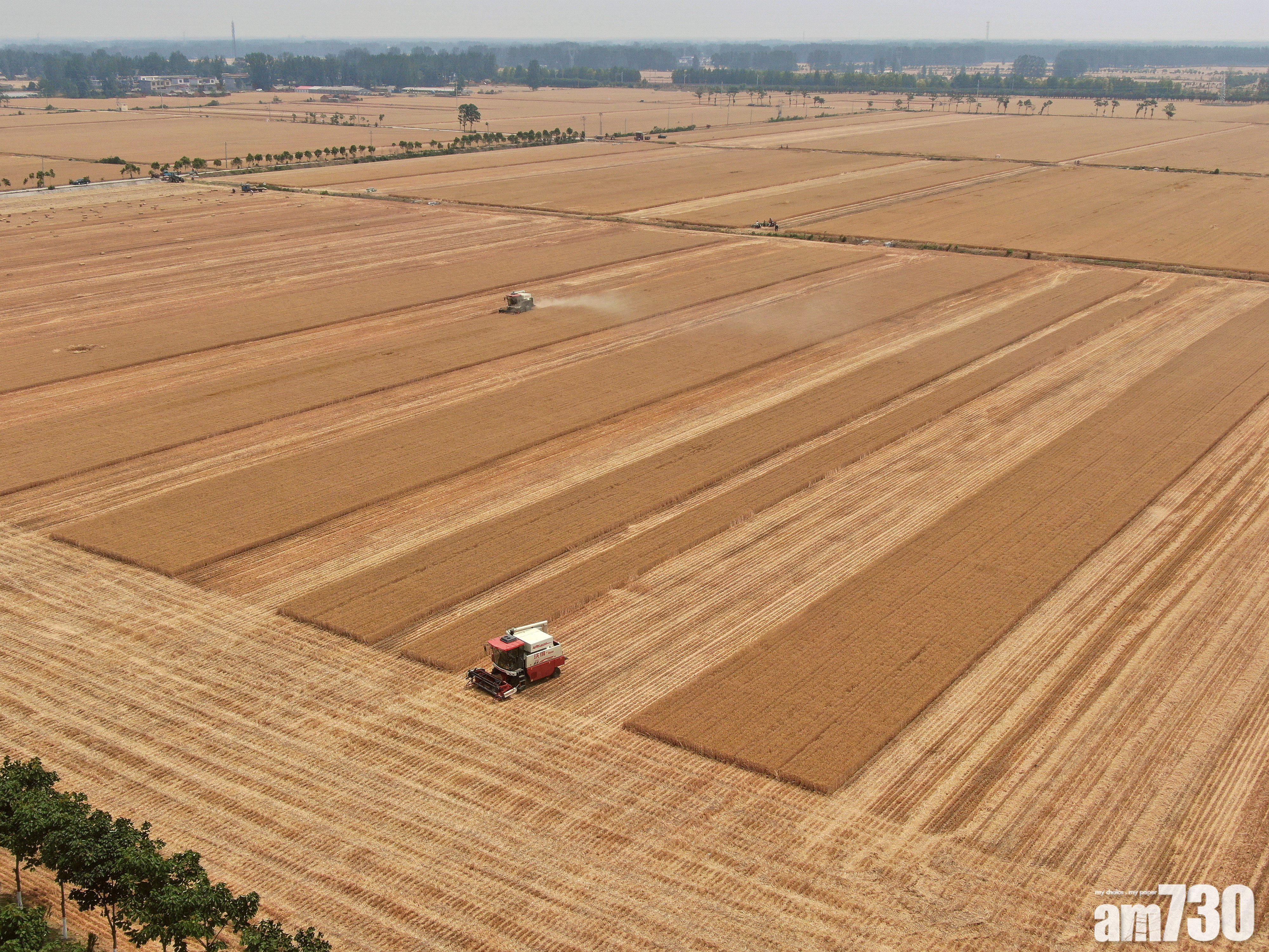 農業農村部：冬季或有拉尼娜現象 影響秋冬及明夏糧食生產