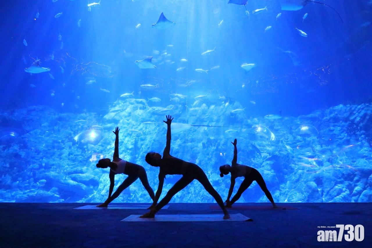 海洋公園下月起推園內行山做瑜珈