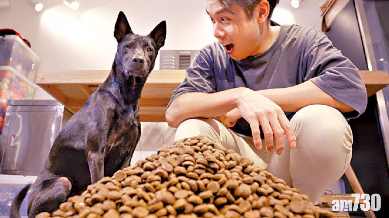 狗狗訓練員Anton 愛犬開YouTube頻道