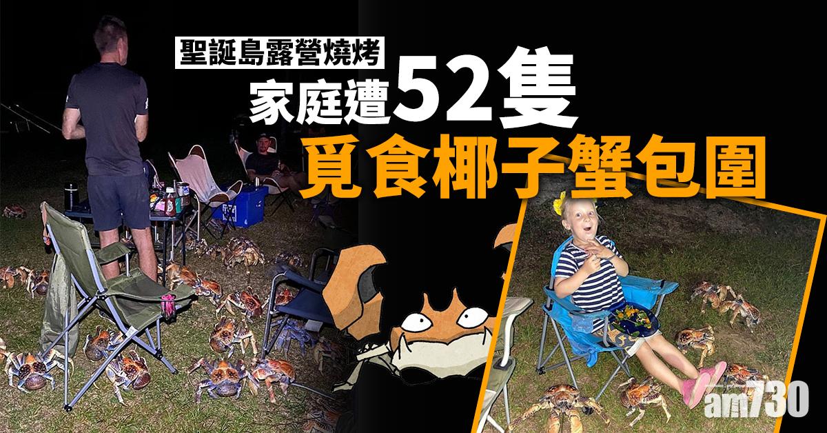 【奇遇】聖誕島露營燒烤  家庭遭52隻覓食椰子蟹包圍 