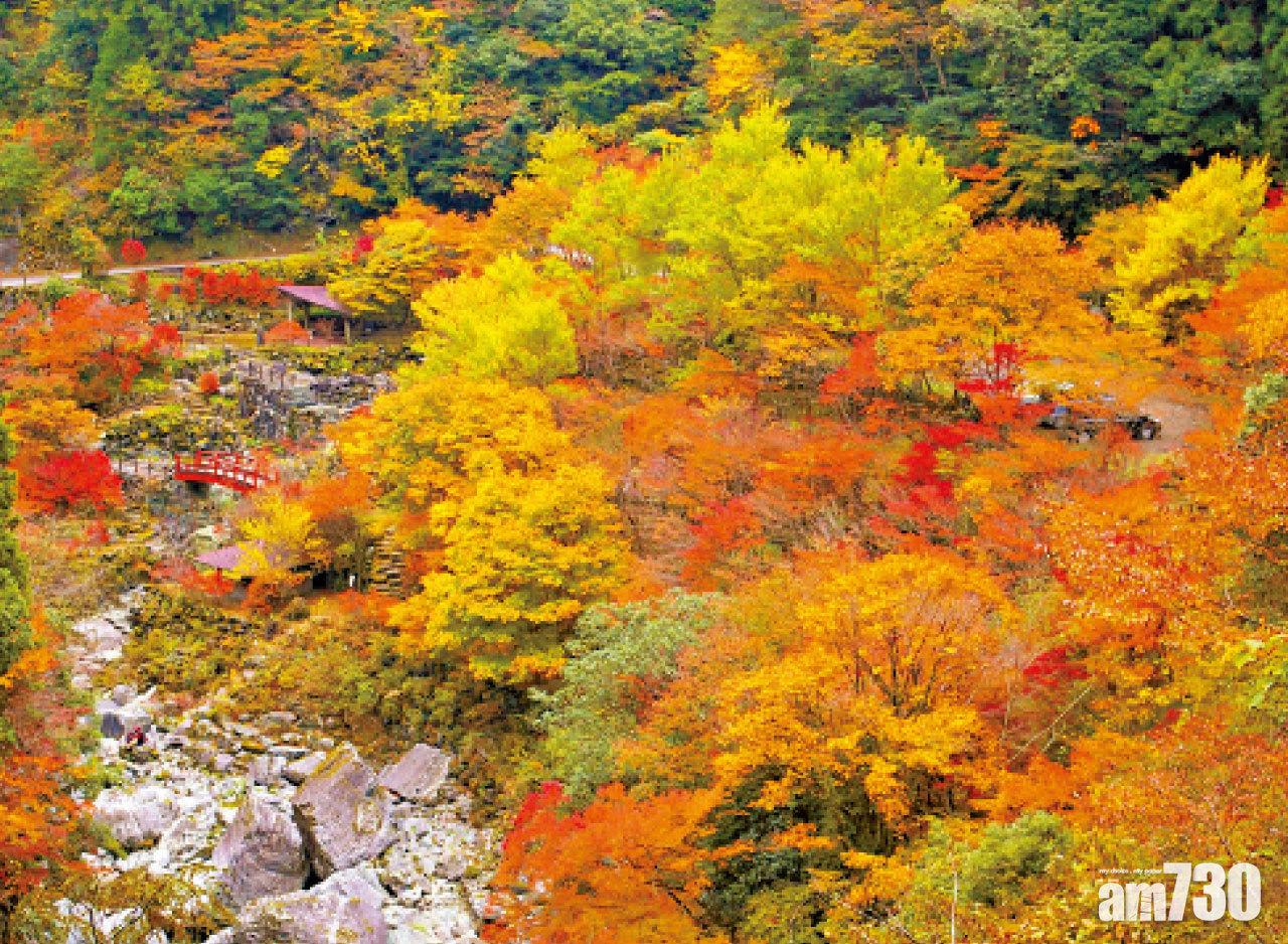 食盡玩盡 發掘高知的秋日魅力