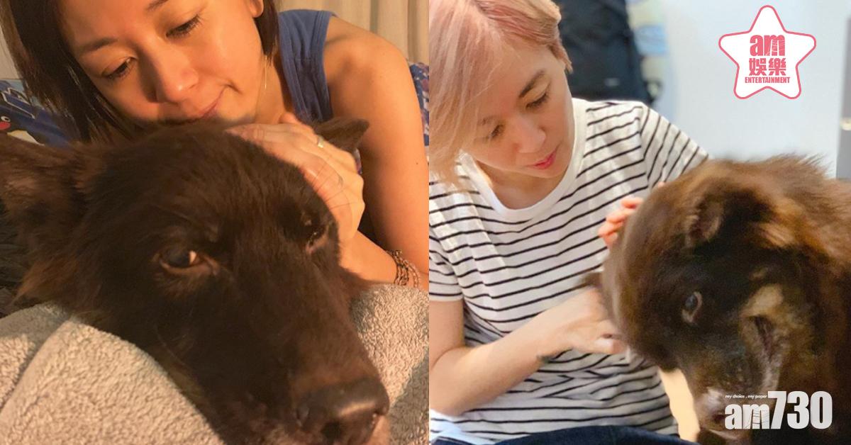 愛犬Coffee離世 唐寧︰我永遠愛你！