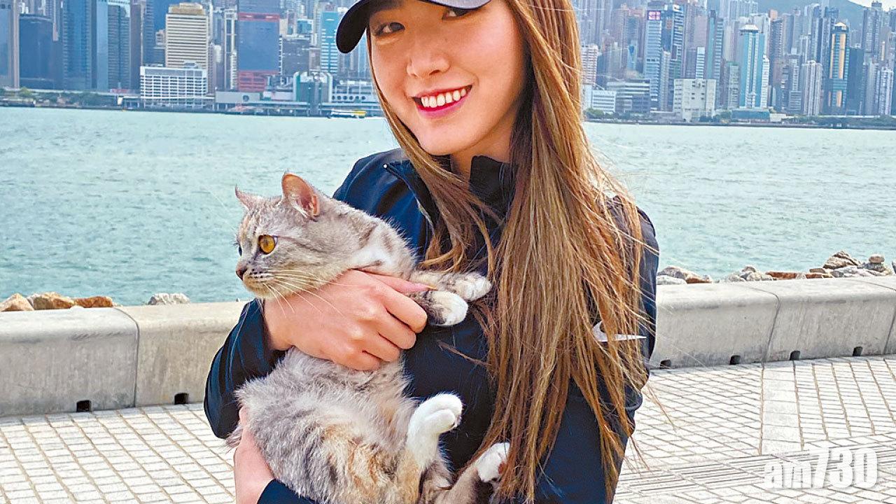 遇上被棄養的Snowy Kerryta：我的Dream Cat 