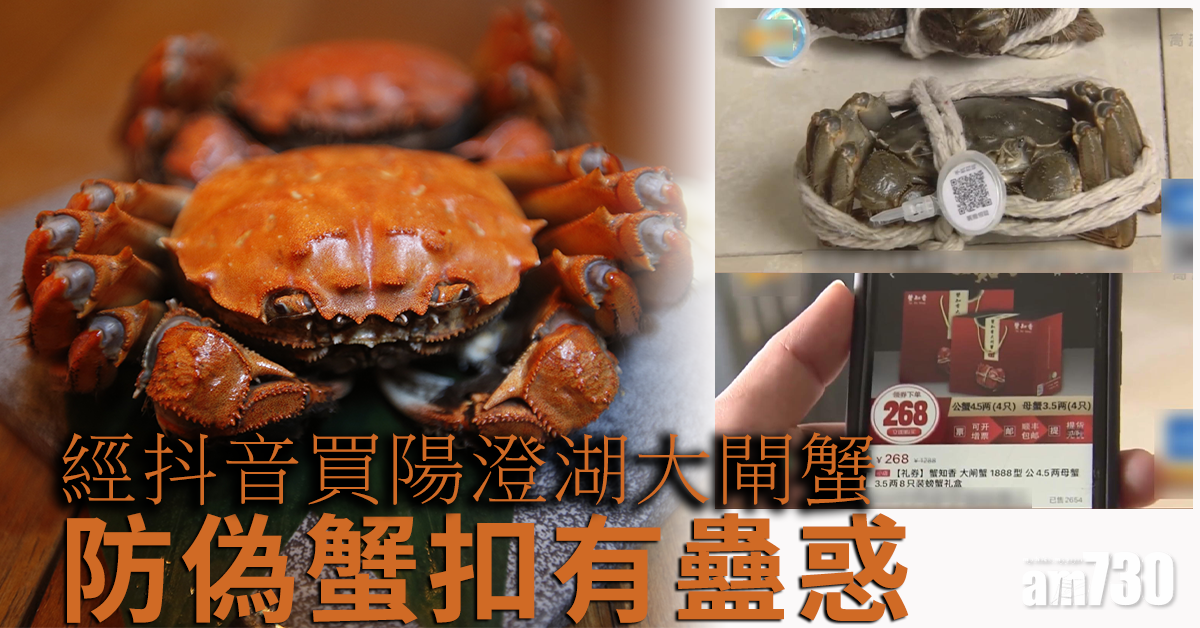 經抖音買陽澄湖大閘蟹 防偽蟹扣有蠱惑