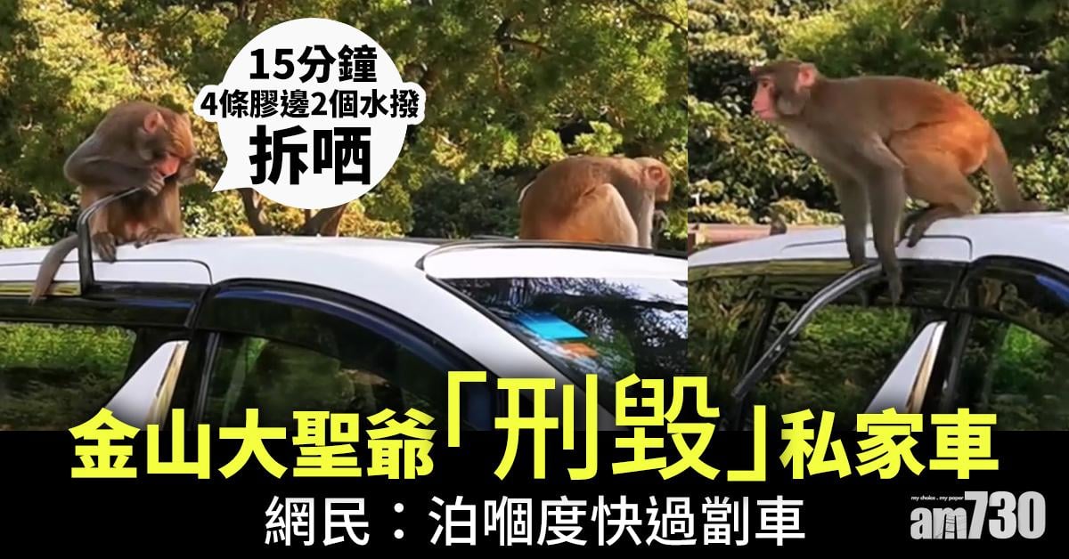 【破壞王】金山大聖爺「刑毀」私家車　網民：泊嗰度快過劏車