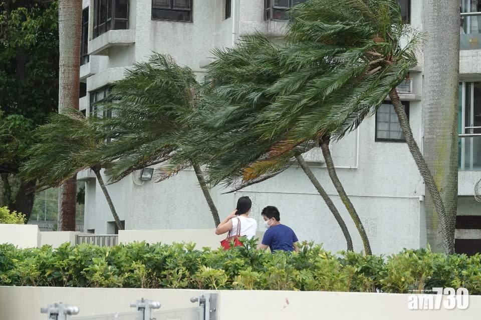 【浪卡襲港】8宗塌樹報告  1人受傷睇急症