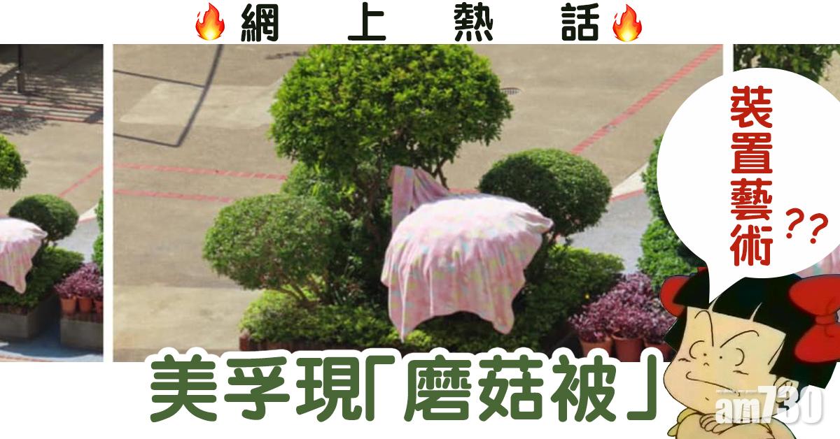 【網上熱話】美孚現「磨菇被」 網民諷裝置藝術
