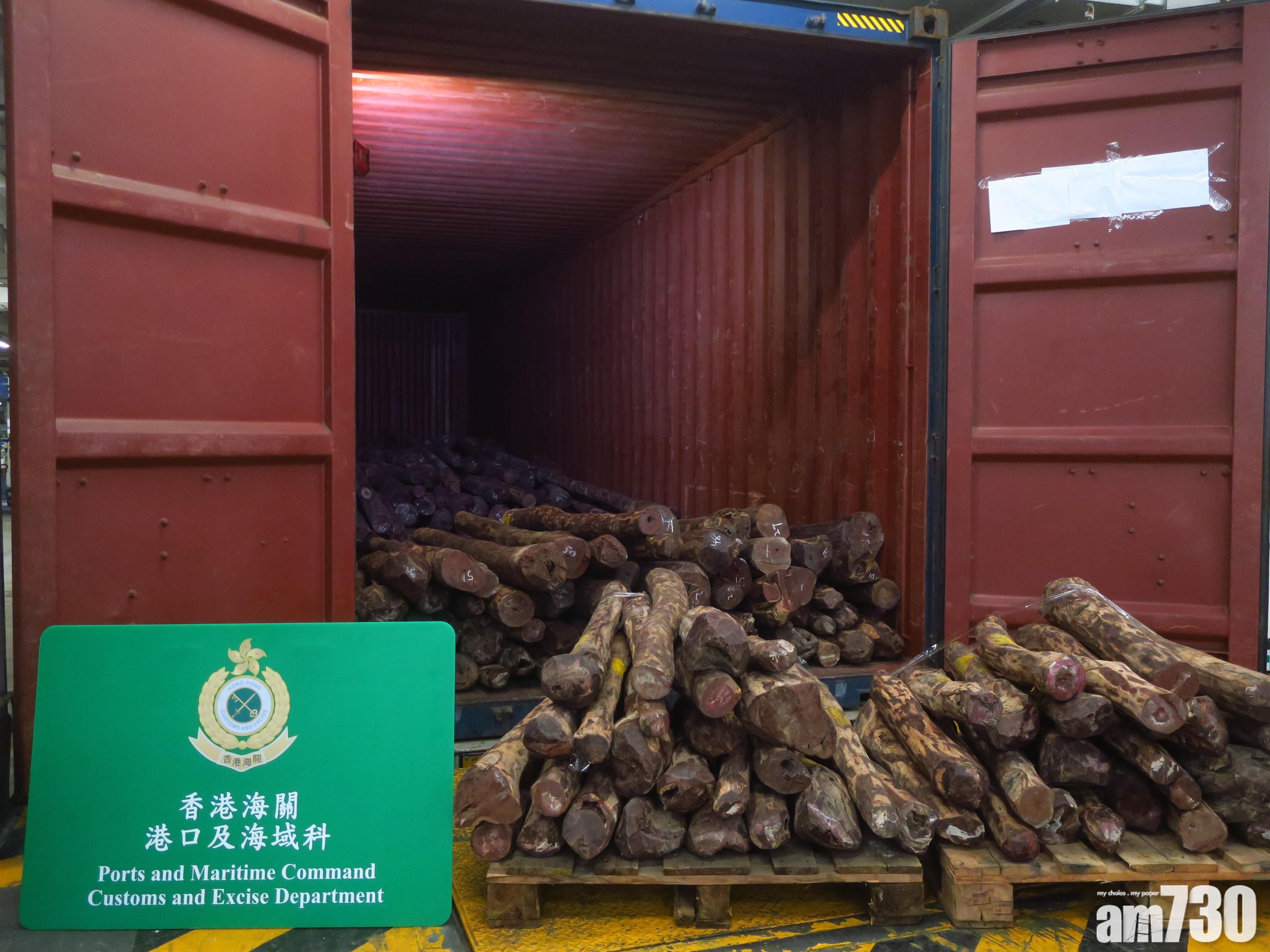 【今年最大宗】海關檢獲9710公斤受管制紫檀木材