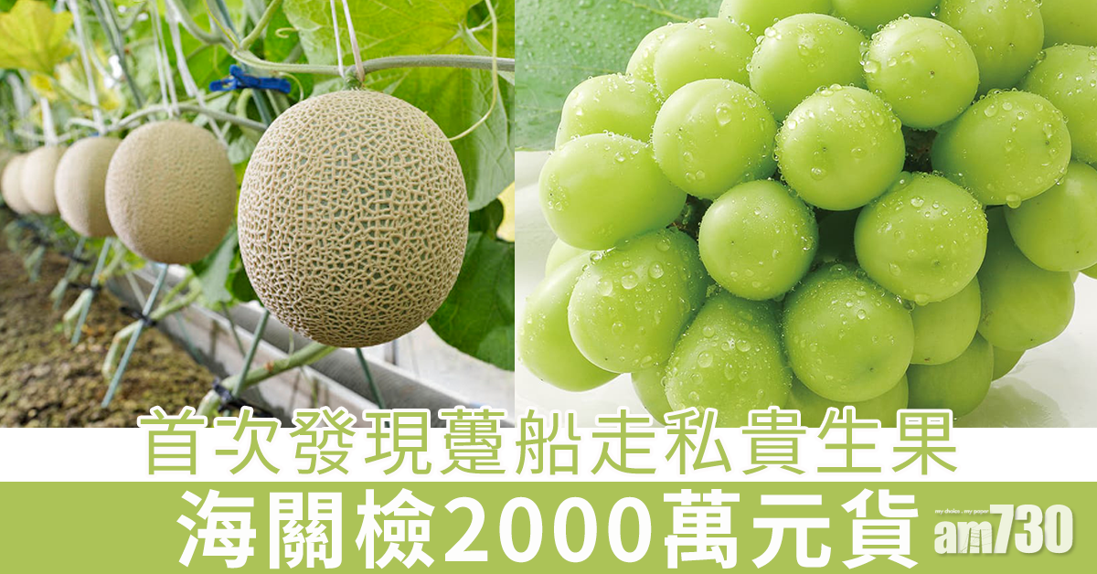 【躉船走私】海關：首次發現躉船走私貴生果　檢2000萬元貨