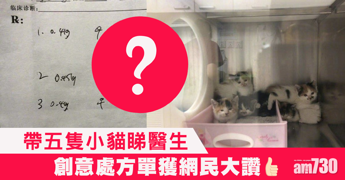 【網上熱話】五隻小貓看醫生 醫生處方單好精彩