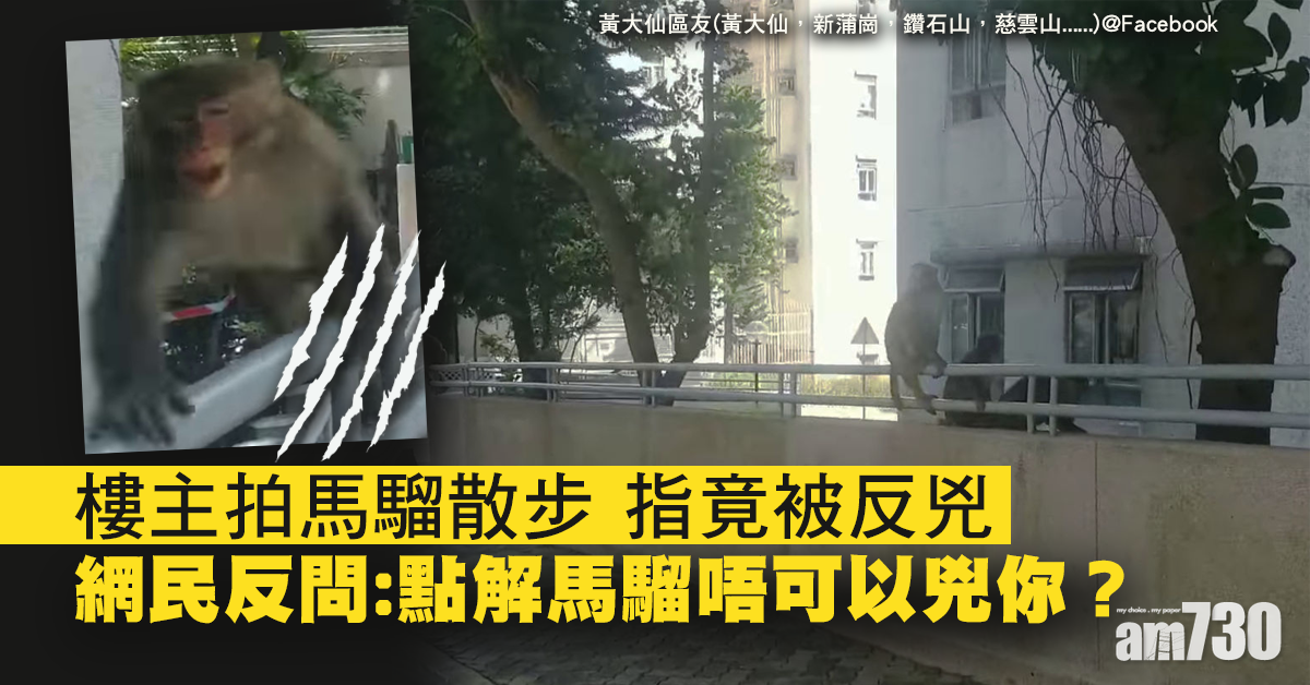 【網上熱話】翠竹6猴齊漫步　回頭突撲拍片者