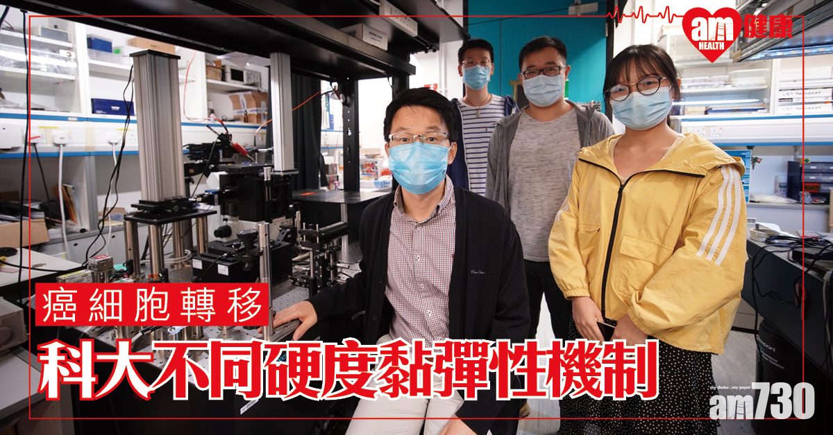 癌細胞轉移 科大：不同硬度基質中轉移性癌細胞的新機制