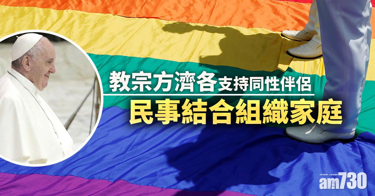 教宗方濟各支持同性伴侶民事結合組織家庭