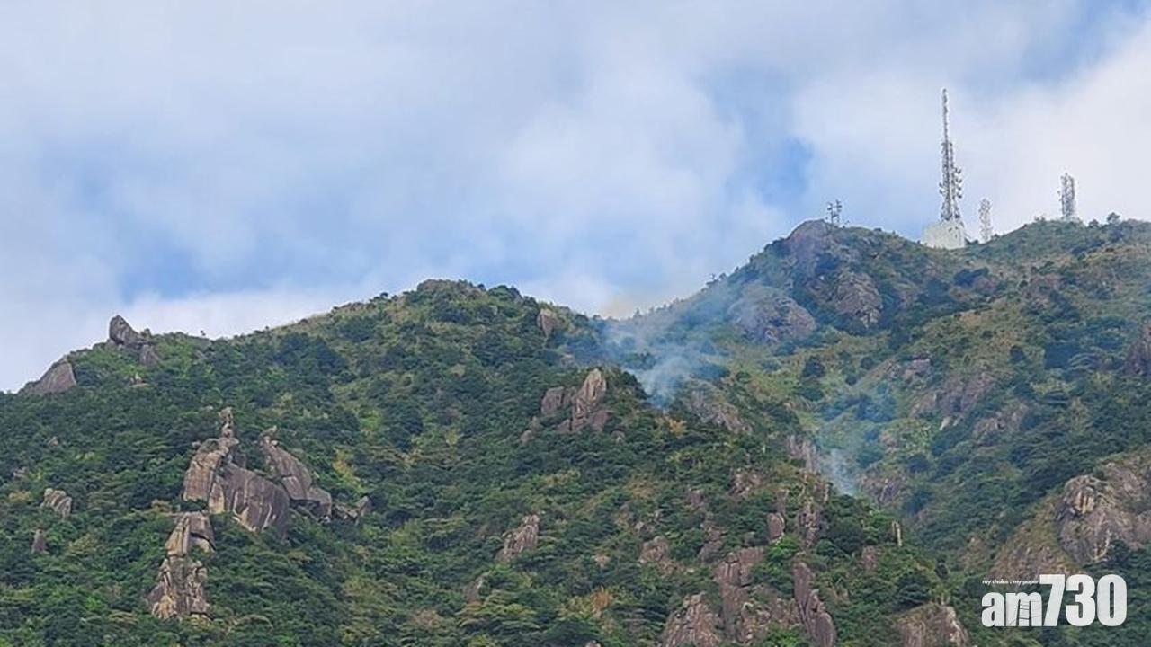 重陽節市民掃墓疑遺火種 新界接逾40宗山火報告