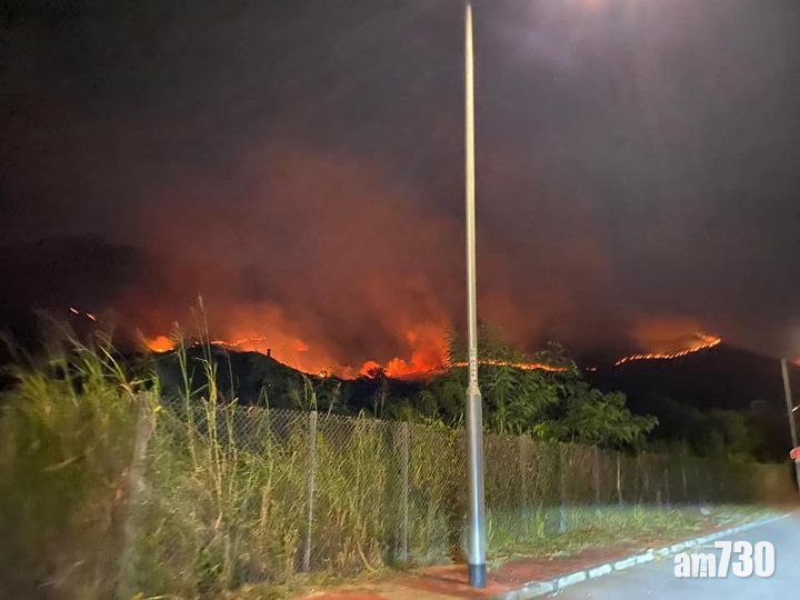 【重陽山火】山火燒至元朗狗場　義工呼籲到場救貓狗