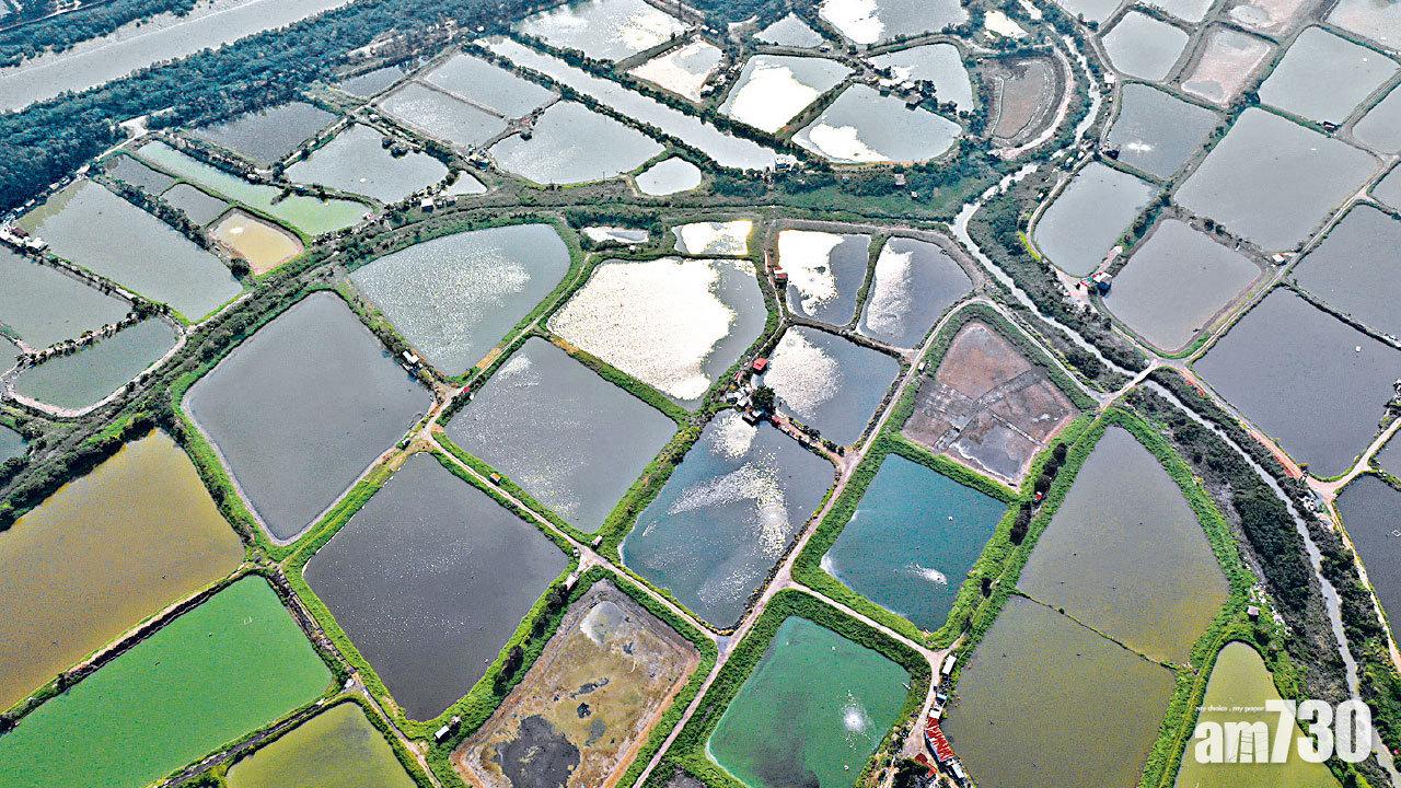 揭全港逾萬棟套丁丁屋 團體促政府列管制名單取消申請