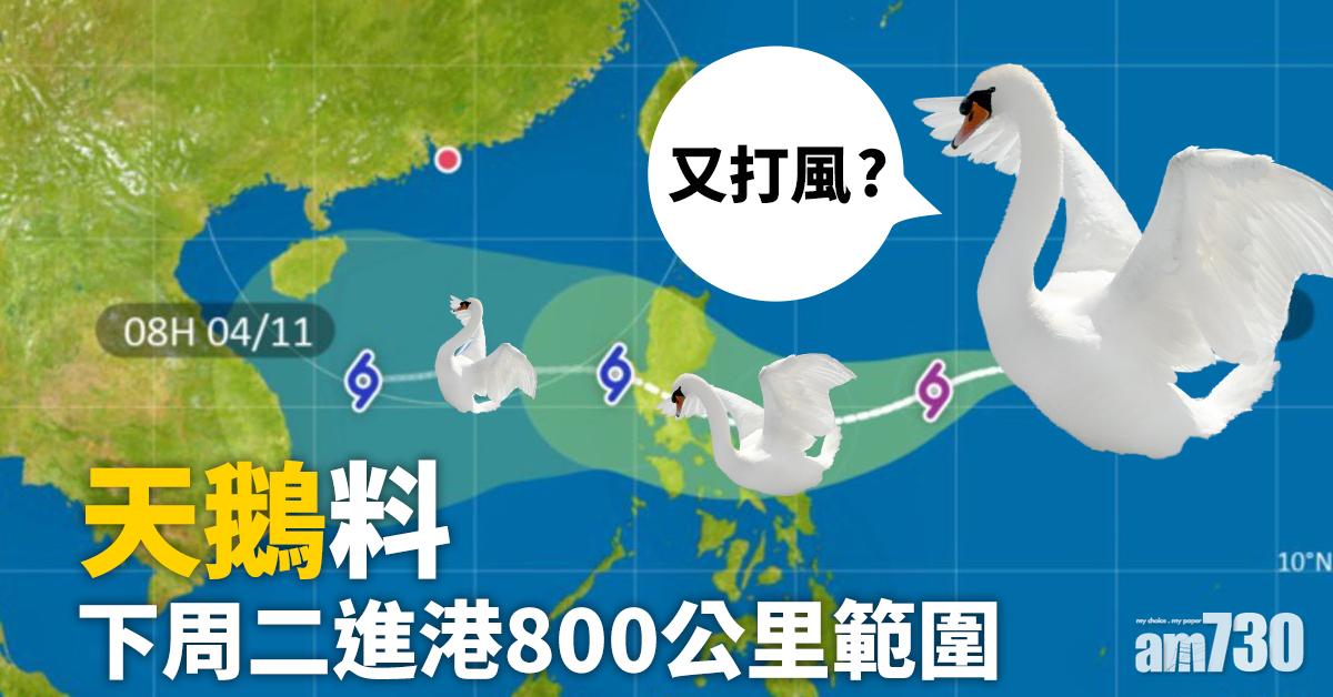 【又打風？】天鵝料下周二進港800公里範圍
