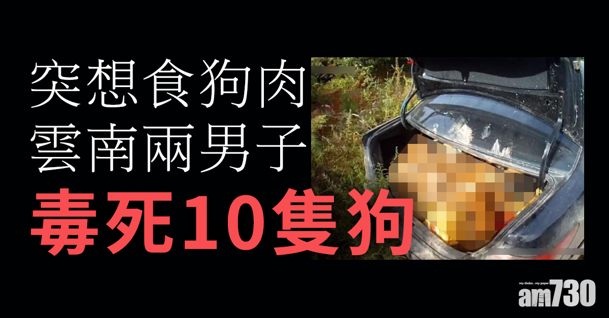 突想食狗肉 雲南兩男毒死10隻狗