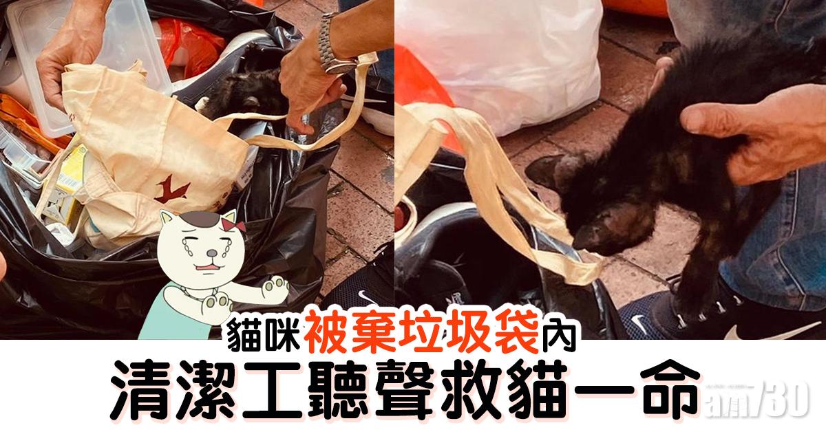 【網上熱話】貓咪被棄垃圾袋內　清潔工聽聲救貓一命