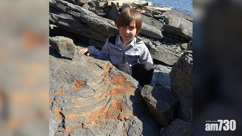 【遠古生物】俄羅斯7歲男童海邊發現史前魚龍化石
