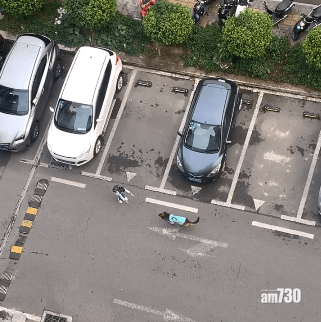 【記得牽狗繩】晒狗狗聰明竟變成「罪證」 狗主被罰500人仔