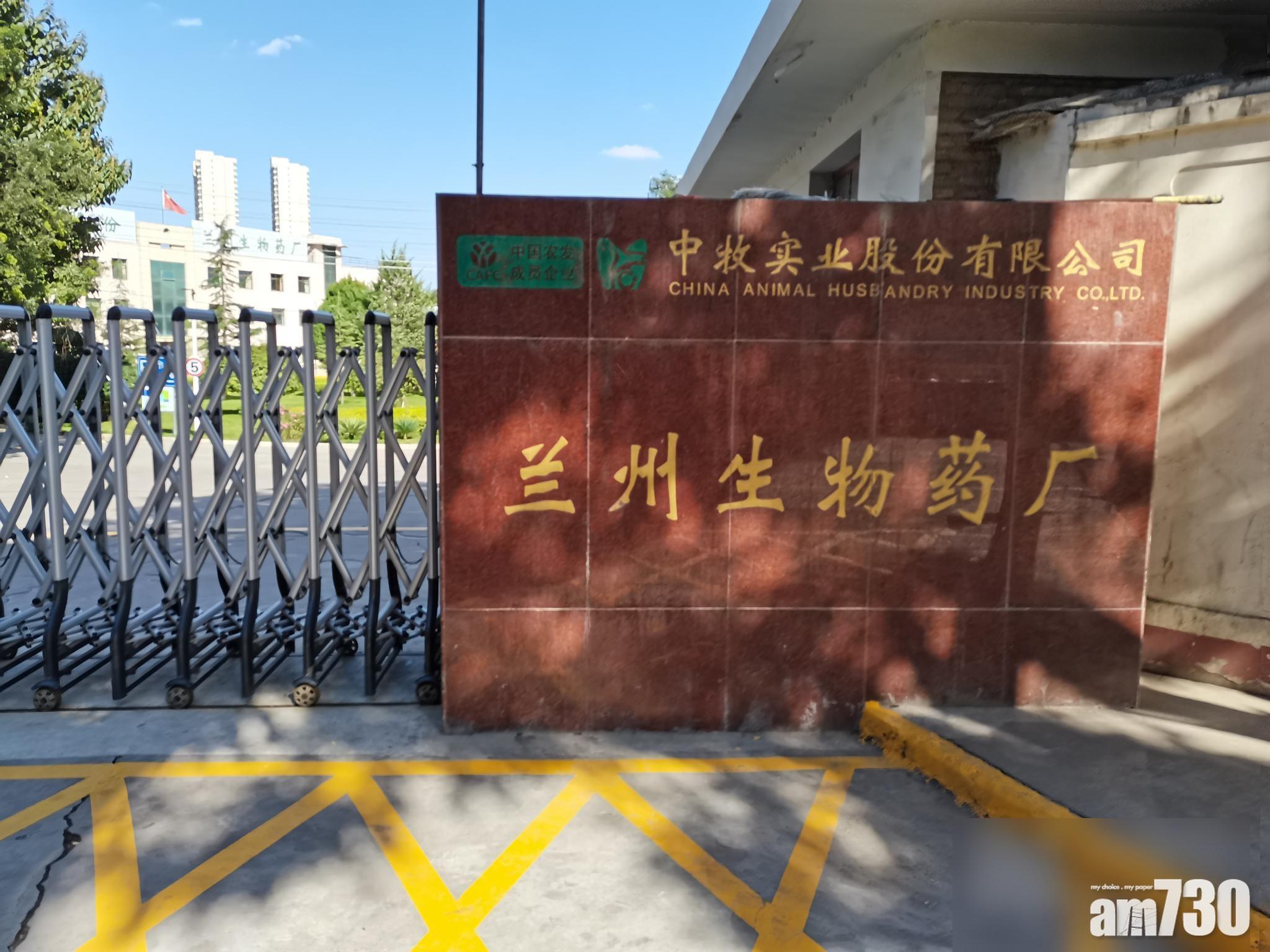 蘭州增至6620染布魯氏菌 獸藥廠8人被處分