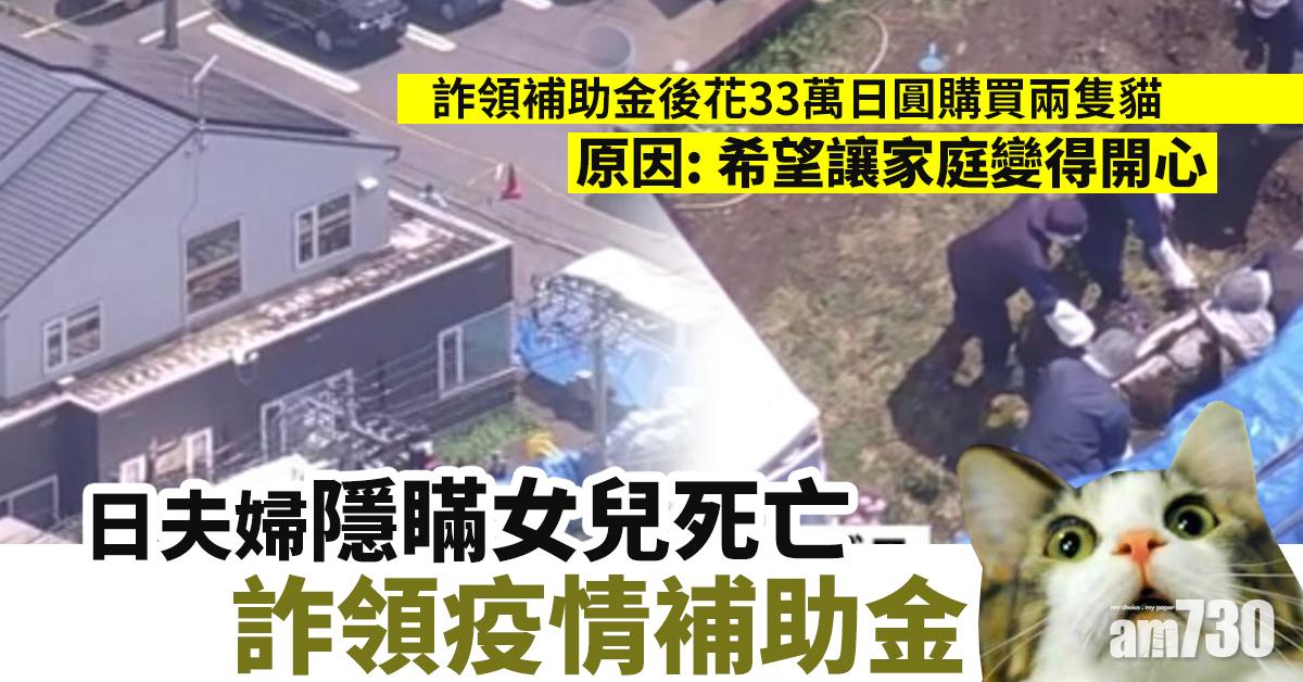 【新冠肺炎】日夫婦詐領疫情補助金 花2.4萬買貓想屋企「開心啲」
