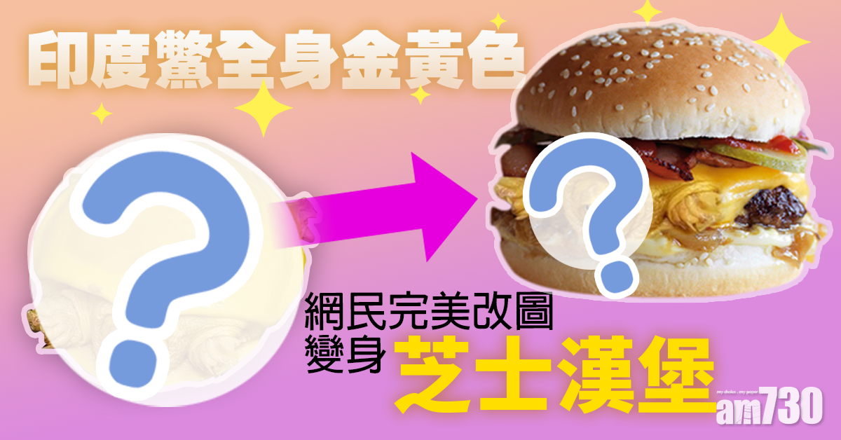 【基因突變】印度現罕見黃色鱉　網民：像融化了的芝士