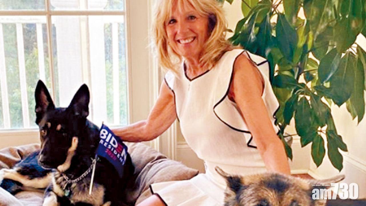 圖片新聞 : 第一狗