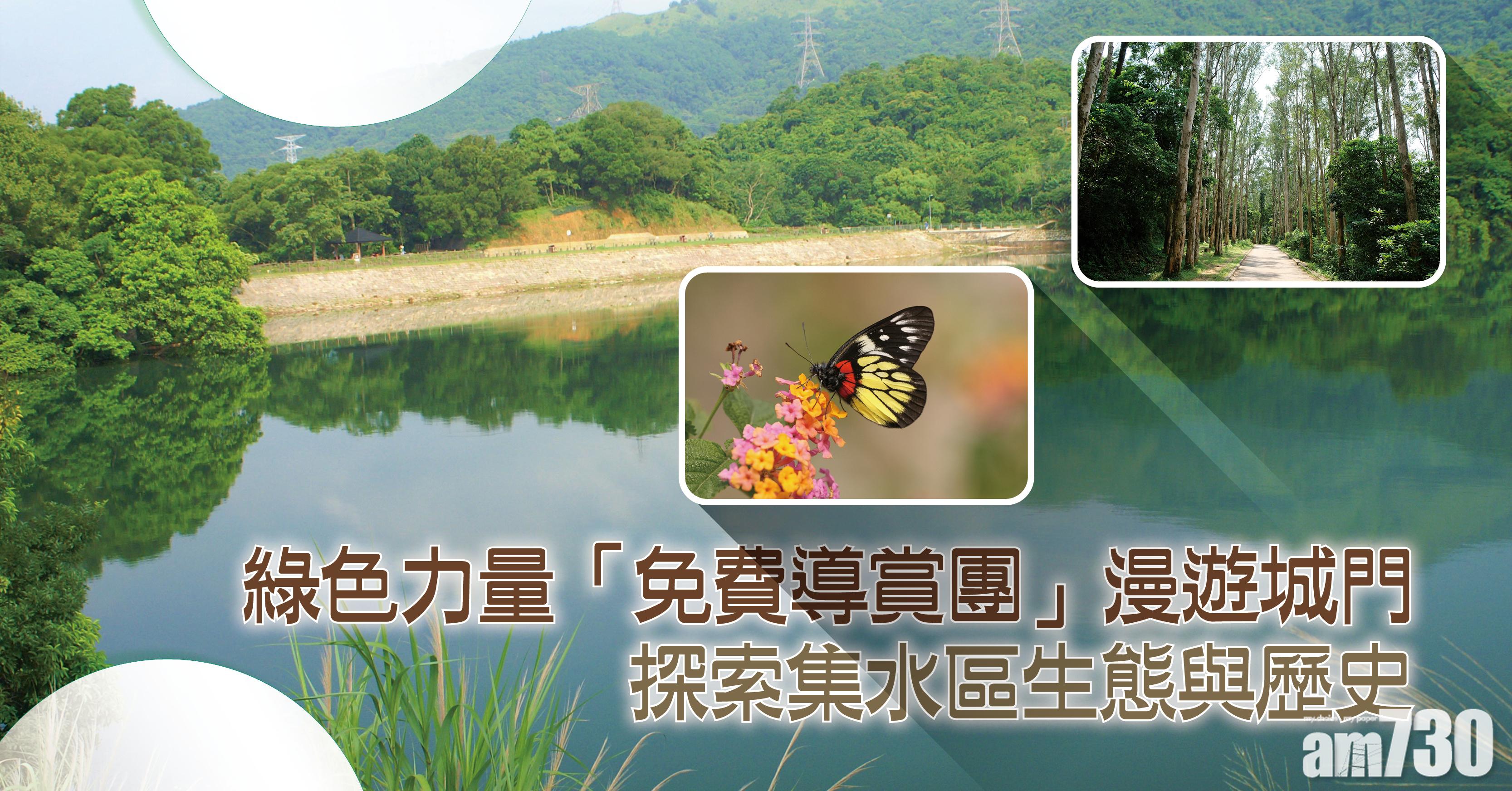 綠色力量「免費導賞團」漫遊城門 探索集水區生態與歷史