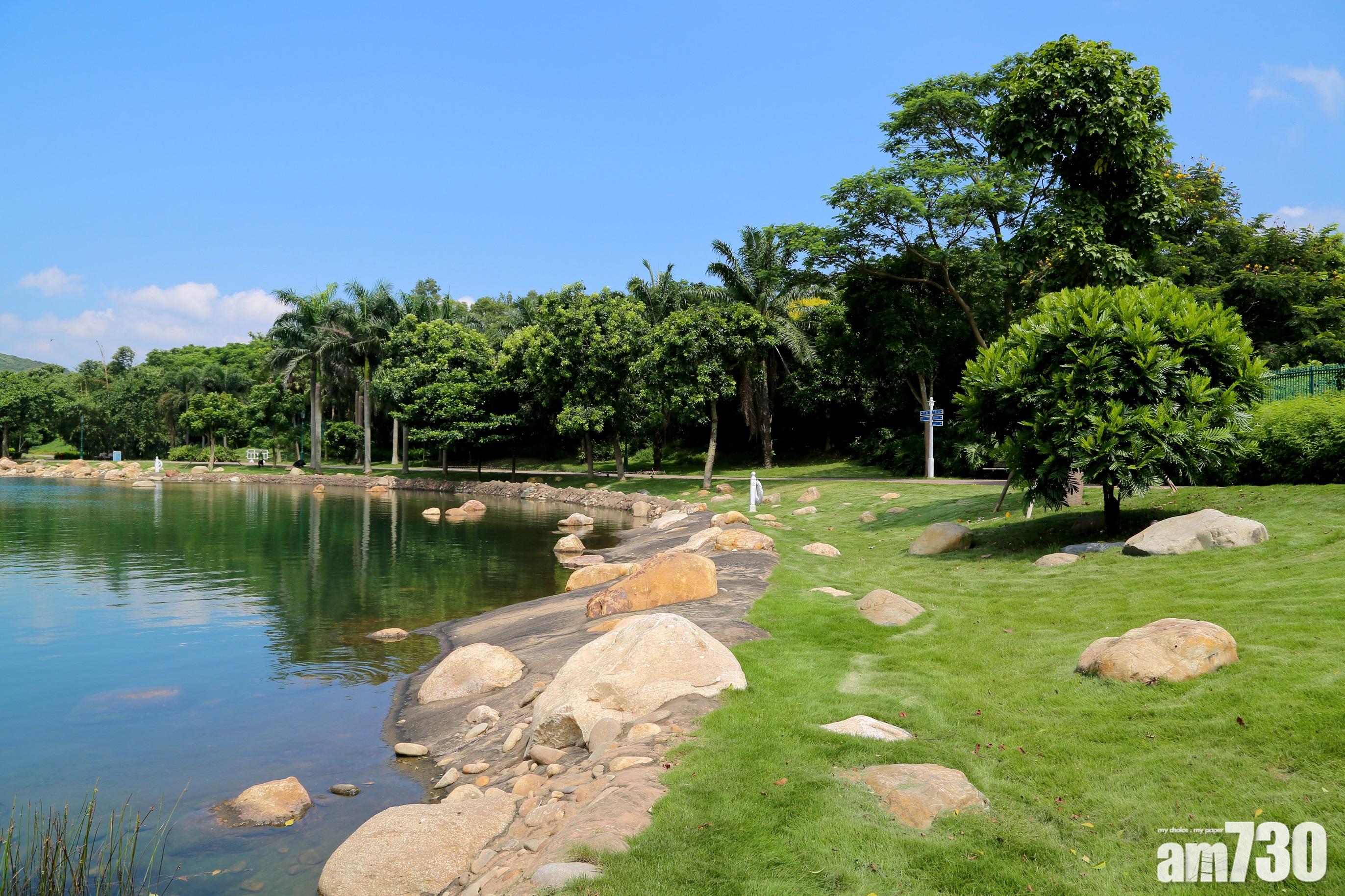 【新冠肺炎】最新確診者行蹤　周末去過迪欣湖