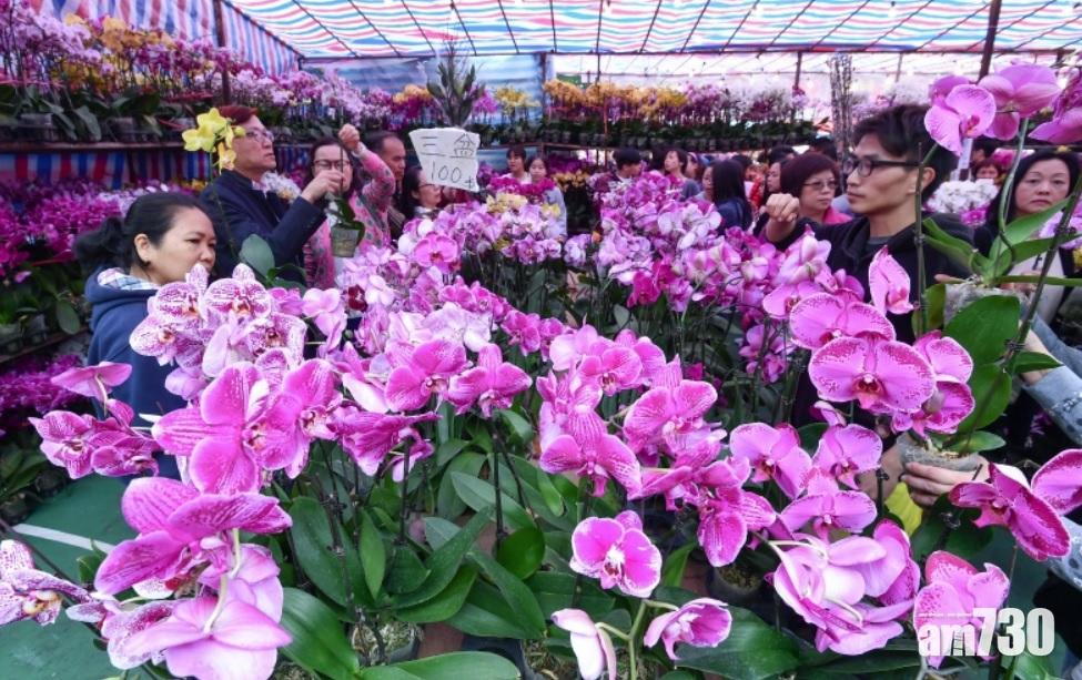 【年宵市場】農曆年宵市場下周二起競投攤位底價由320至5,440元