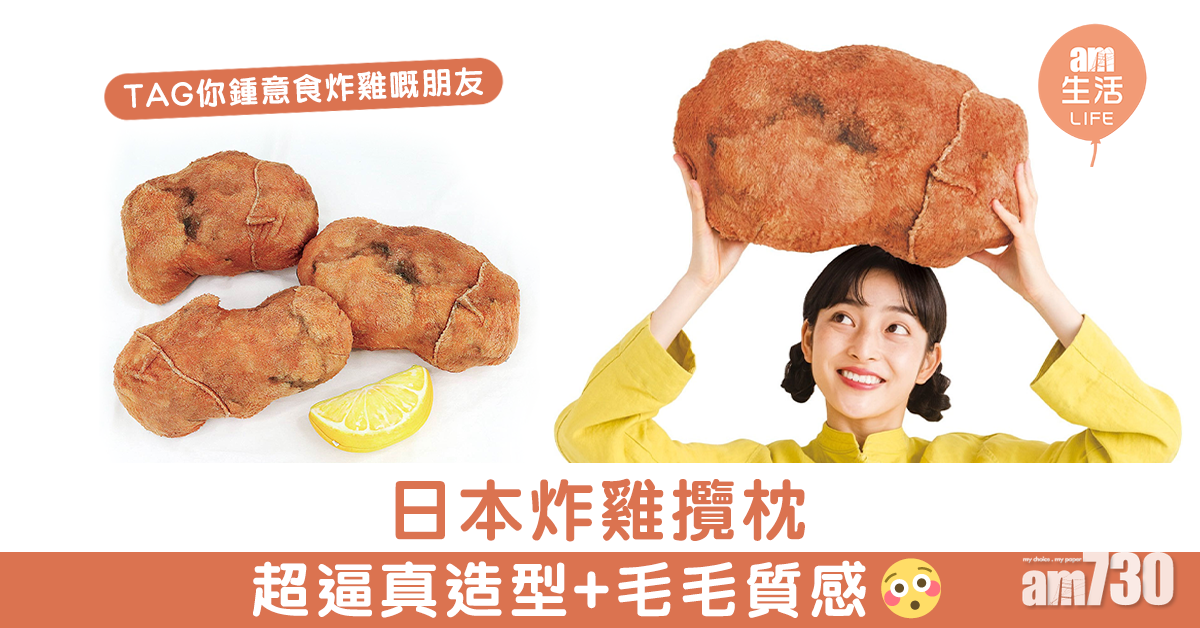 日本炸雞攬枕 超逼真造型+毛毛質感