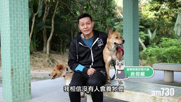 對動物照顧有加 曾偉權宣揚領養寵物片成遺作