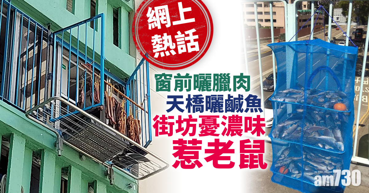 【網上熱話】愛民邨窗前曬臘肉　街坊憂濃味惹老鼠