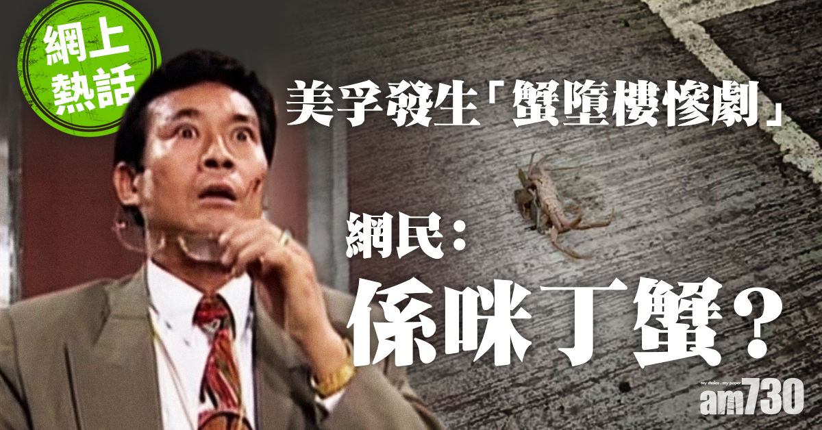 【網上熱話】地上現死蟹 網民：佢係咪叫丁蟹  ？