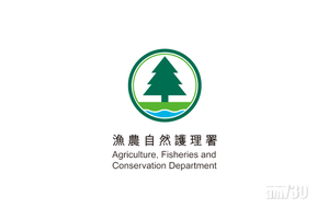 【新冠肺炎】混種短毛貓對病毒呈陽性反應　畜養人為確診者