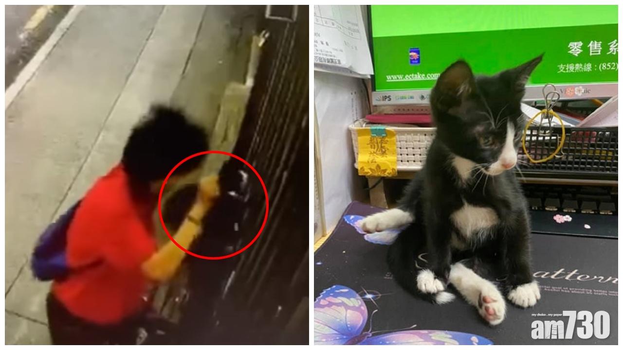 老婦疑為嚇跑老鼠偷果欄幼貓　涉殘酷對待動物及爆竊被捕