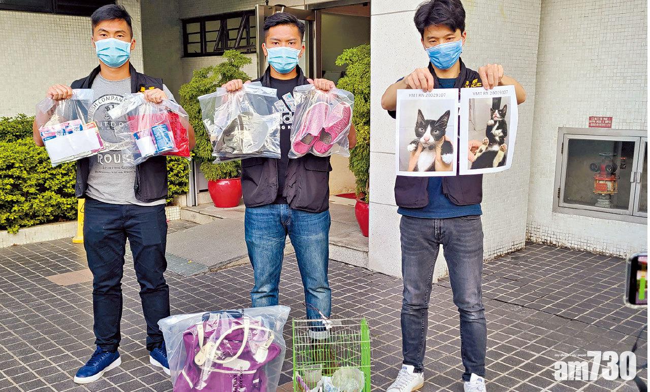 繩之以法 油麻地果欄偷貓  77歲居駿發花園婦被捕