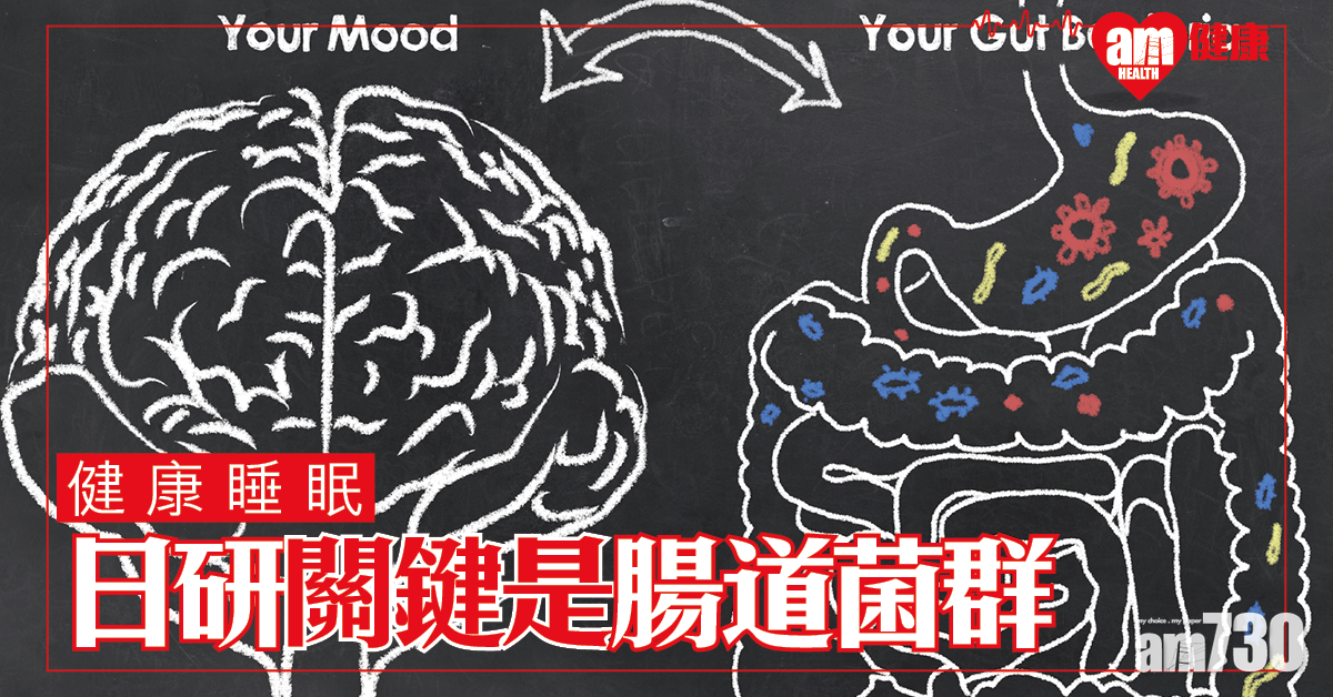 【健康睡眠】日本研究指關鍵在於腸道菌群