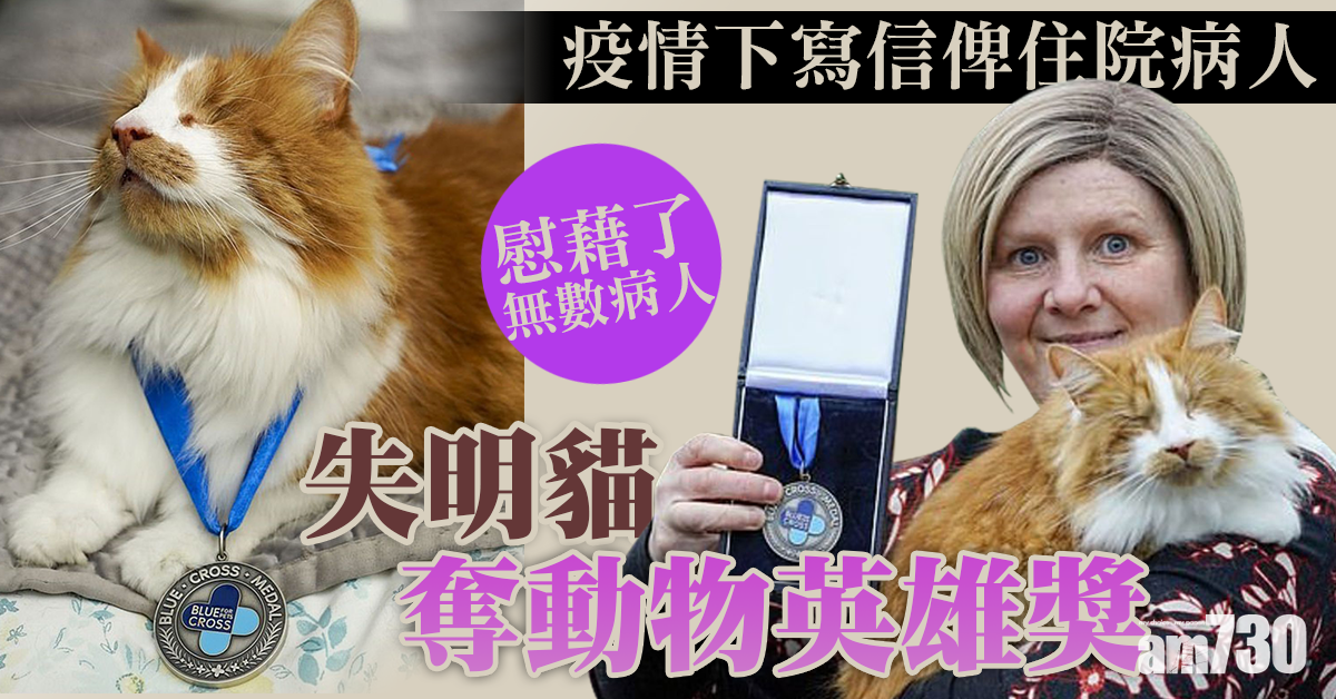【新冠肺炎】疫情下寫信俾住院病人  失明貓奪動物英雄獎